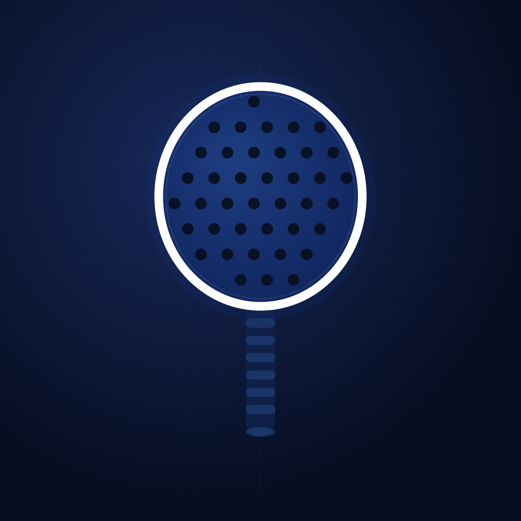 Punto icon